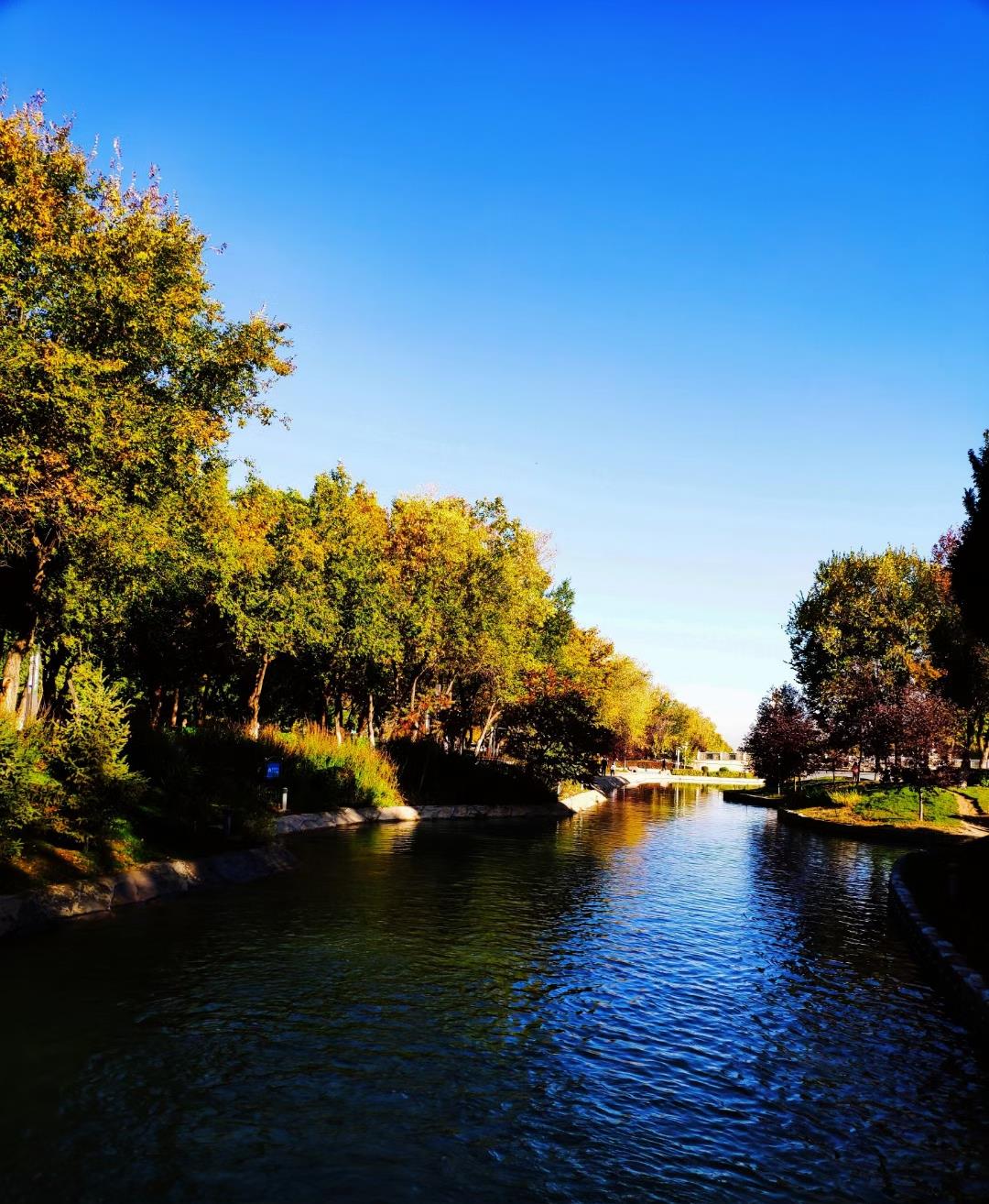 卡塔尔世界杯，东道主的揭幕战，亚洲足球的试金石