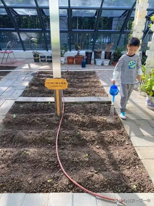 北京上地实验学校2018,北京市上地实验学校