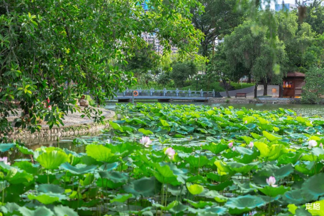 十大风景最美的湖泊排行榜,深圳风景美丽的湖泊