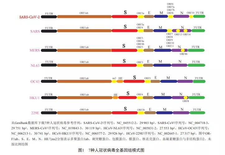 ≥99.99%冠状病毒灭活率！3N角膜接触镜护理仪或是新希望