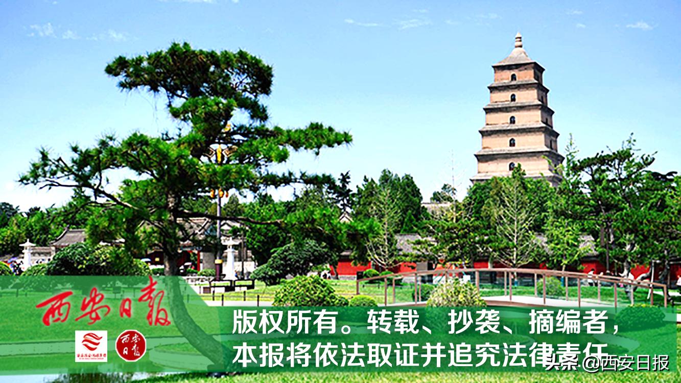 西安医疗保障最新政策,陕西医疗保障信息平台怎么使用