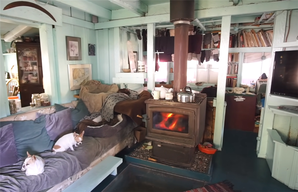 夫妻二人买下海岛过起隐居的生活,夫妻隐居小岛与世隔绝