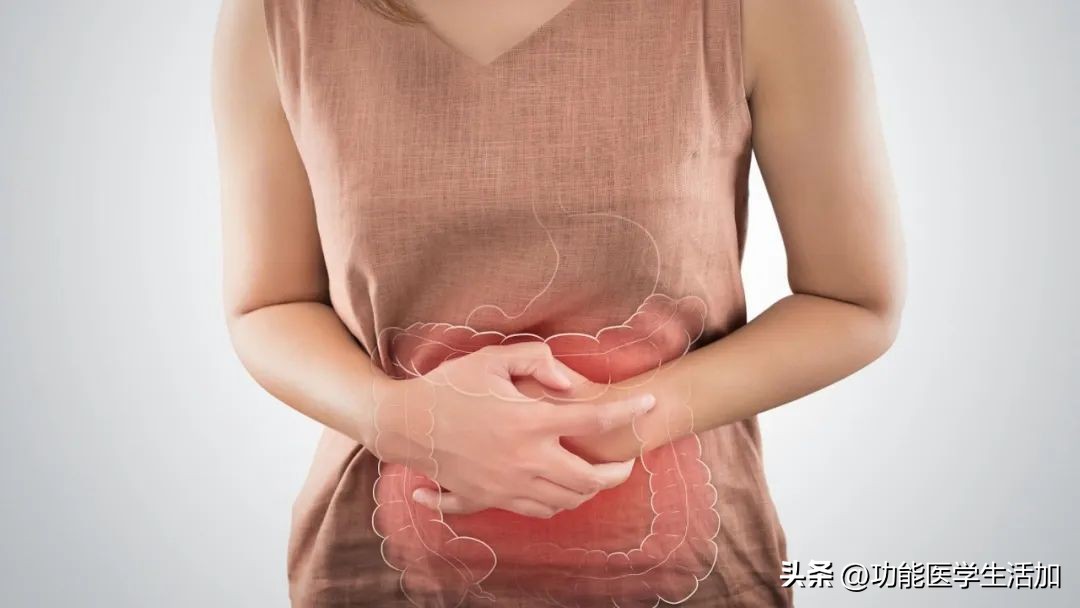 一文读懂念珠菌过度生长