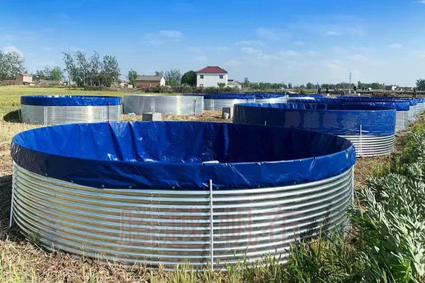 土塘漏水原因怎么查找,土塘坎漏水处理办法