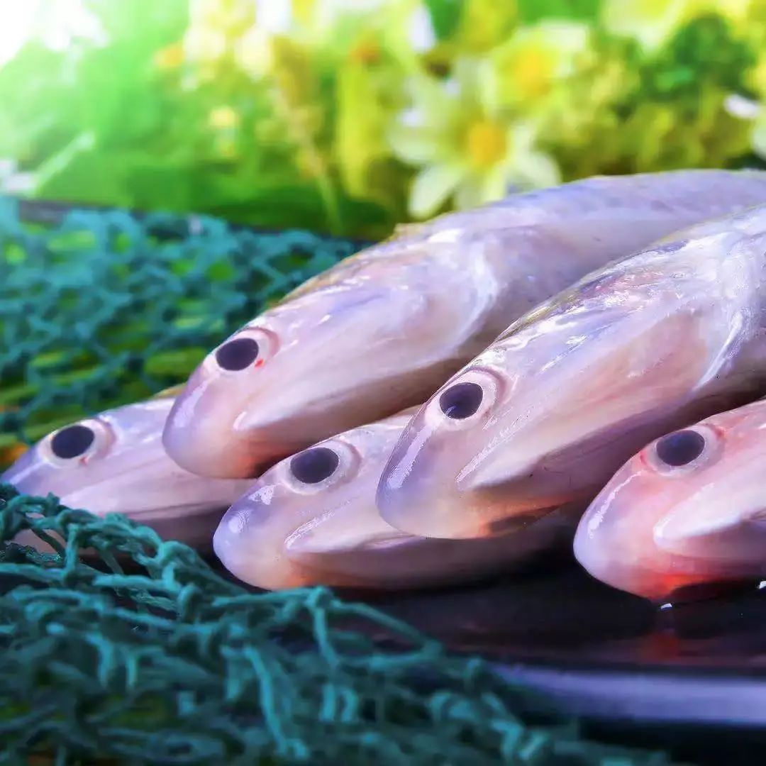 刀鱼尝鲜季,刀鱼尝鲜