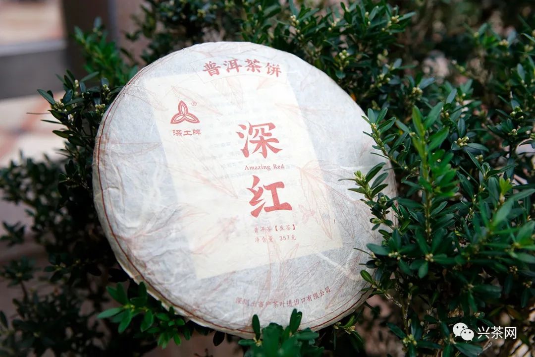 感受时光魅力,感受时光的魅力