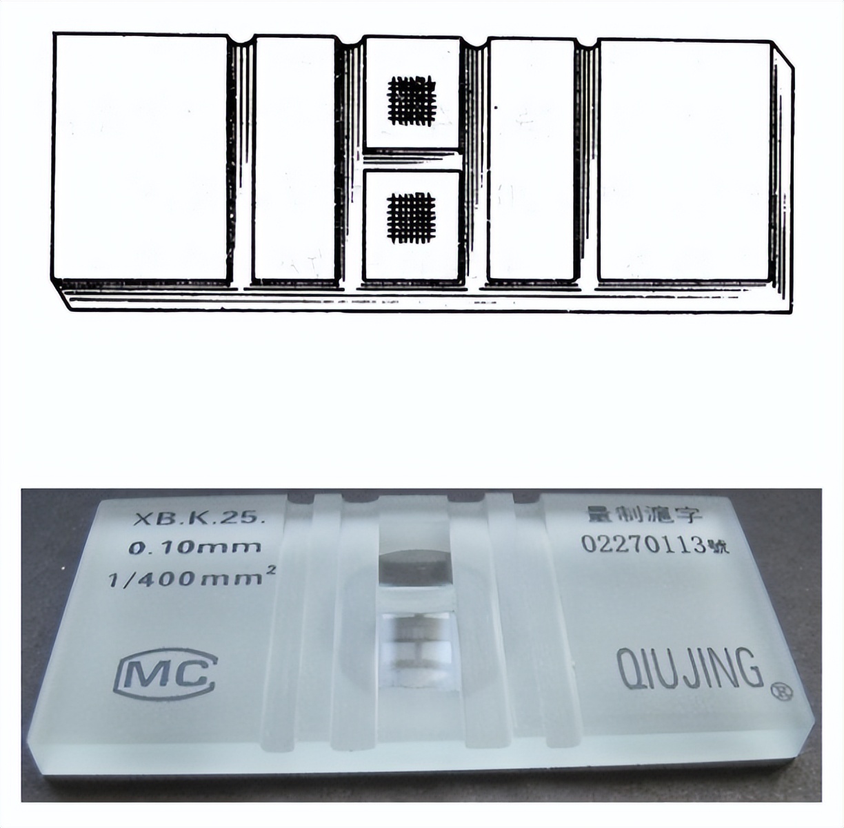 昆明纳瑞丨如何给细胞计数加buff?