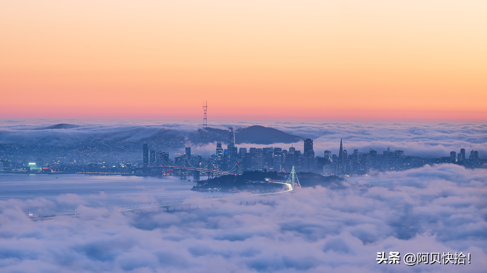 金库自媒体,自媒体理财平台有哪些