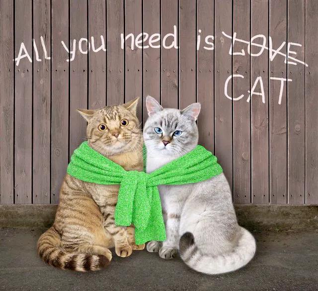 是什么让别人爱上你六因数之第一篇：第一印象