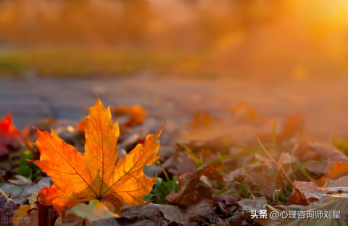 心理学家要怎么操作,心理学帮助睡眠