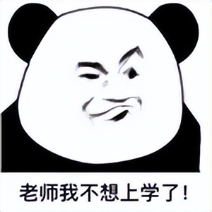 人鸟大战不断升级，想阻止鹦鹉乱翻垃圾桶太难了