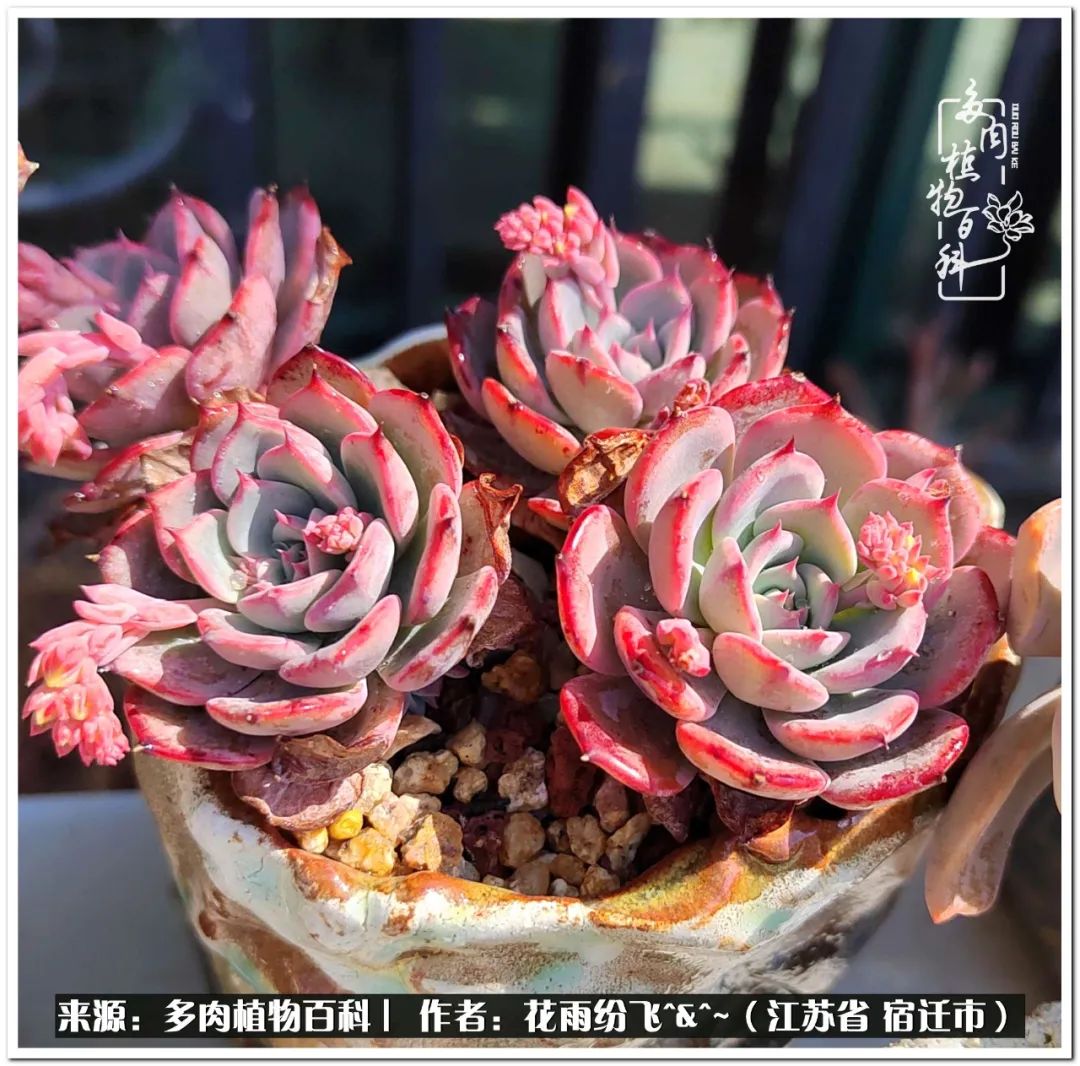 快乐的童年时光视频,回味快乐的童年美好的时光