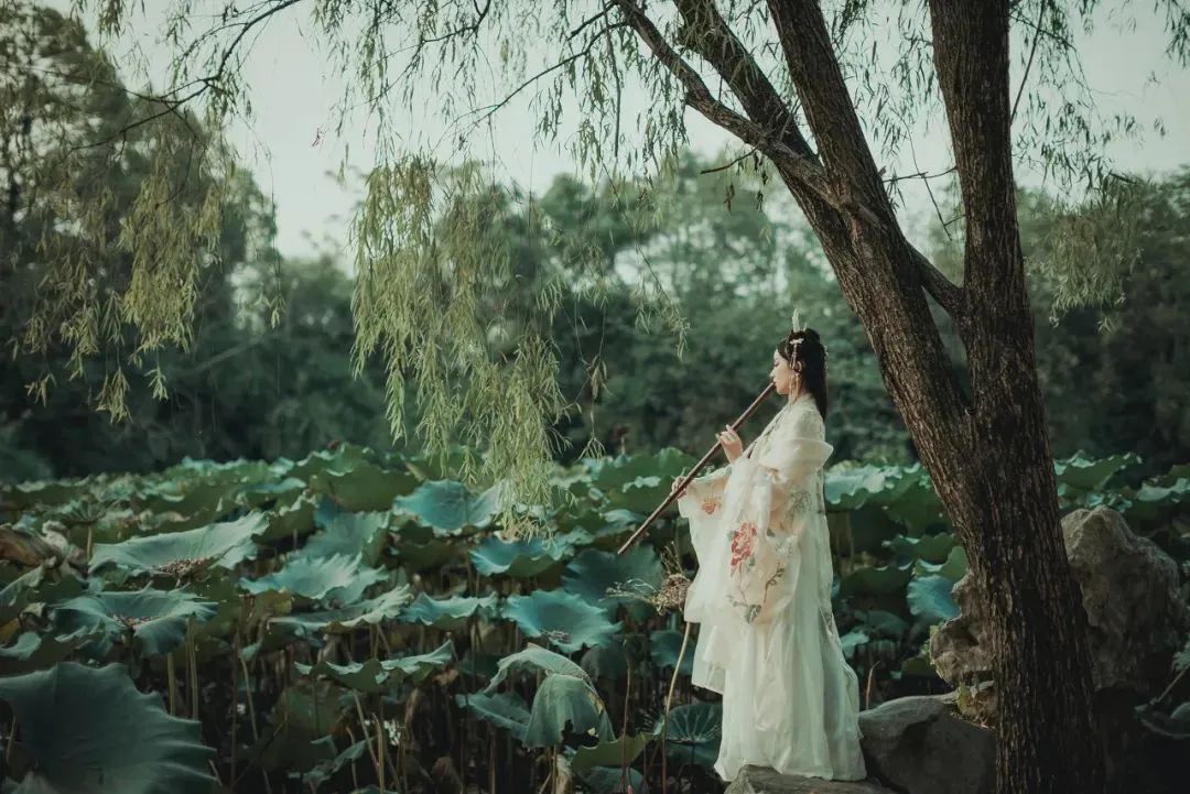 史记中最精辟的一句话,史记中10句揭露人性话