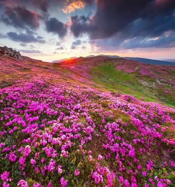 清明祭墓现代诗,现代诗清明祭双亲