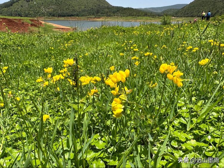 走进昆明安宁，爬癞乌包山、走车木河水库，收获了简单纯粹的快乐