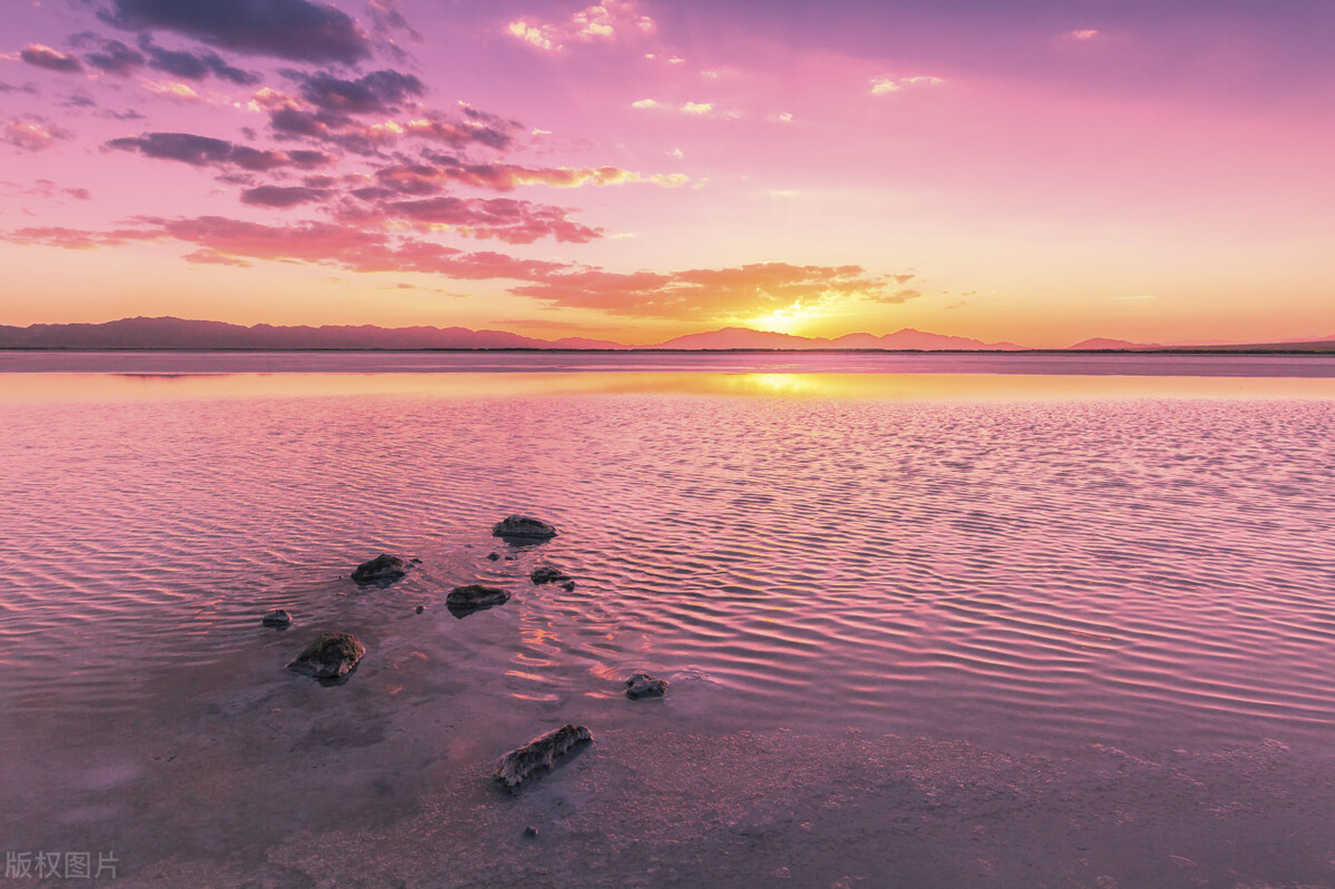 去澳大利亚打工真实现状,澳大利亚研究所真实现状
