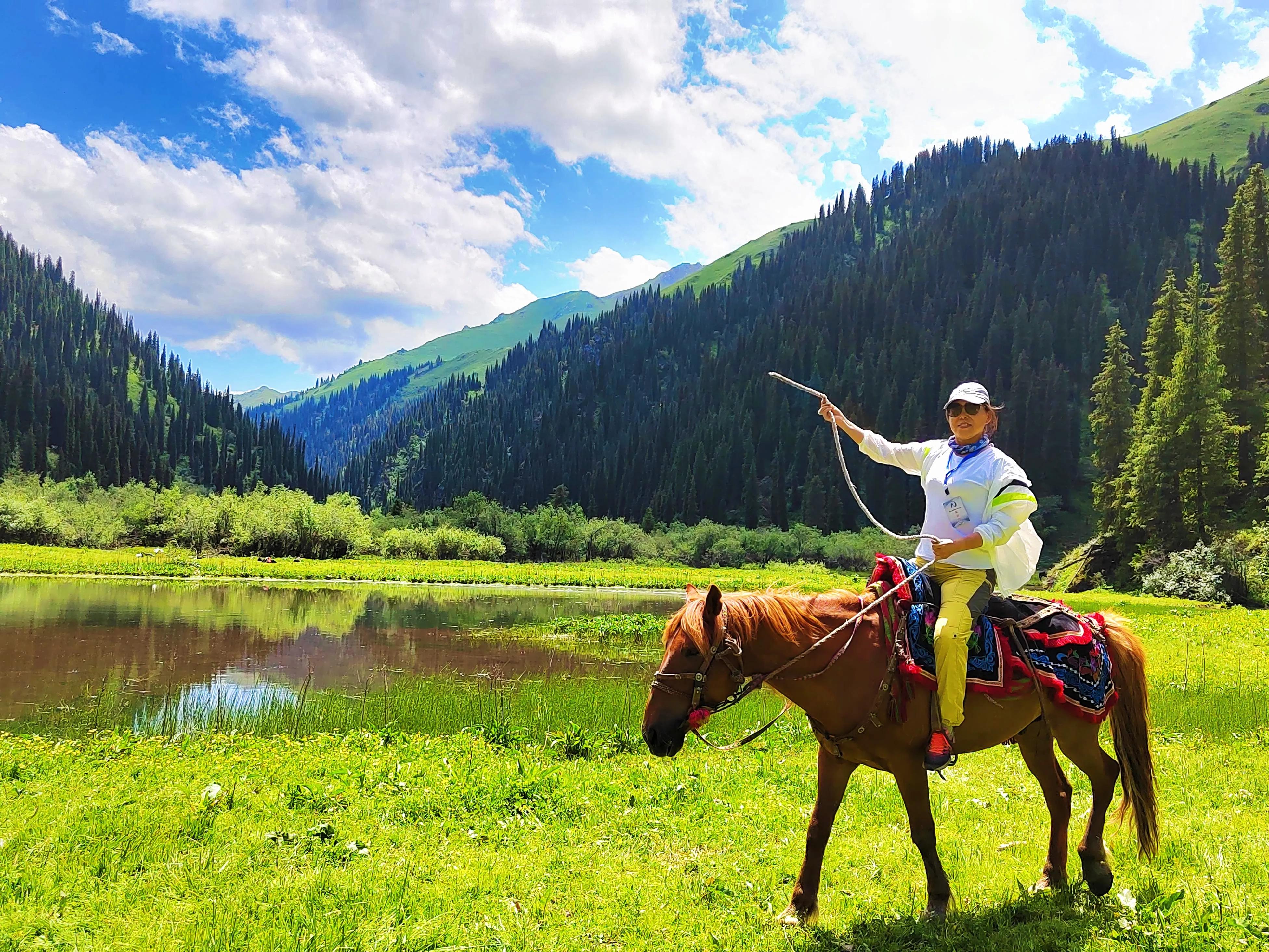 穿越森林探险视频,穿越森林探险之旅
