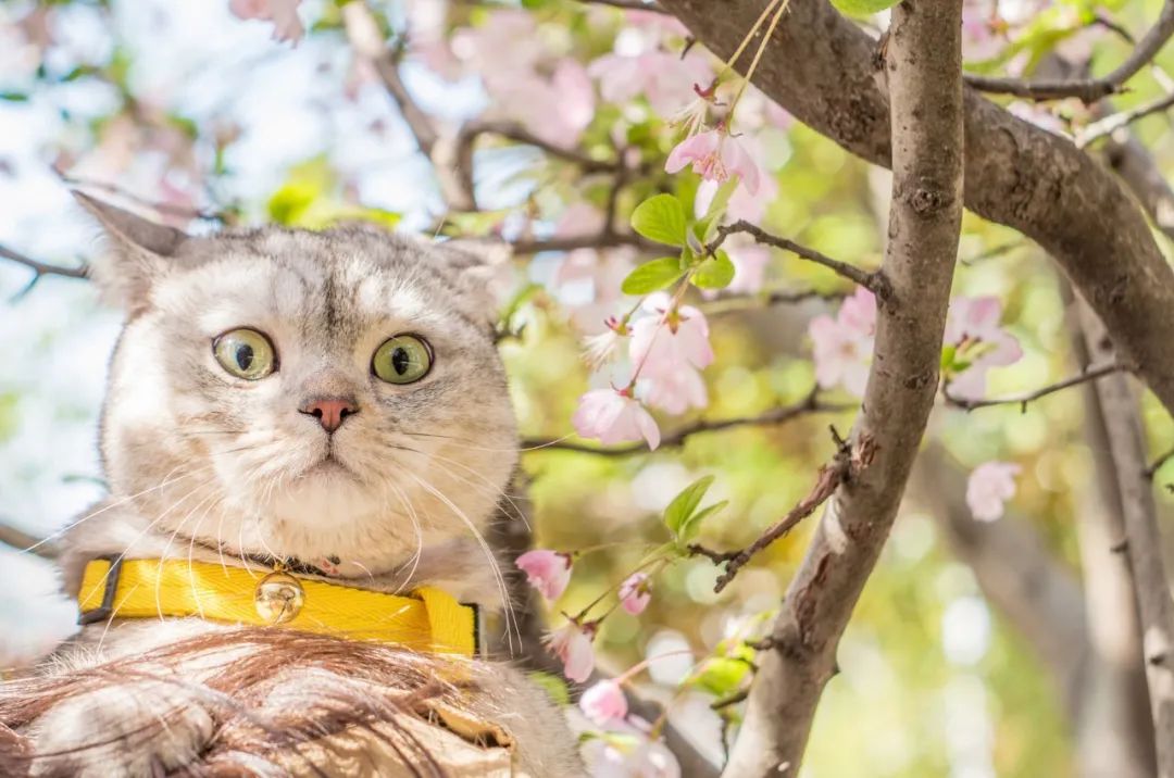 故事大全成人睡前幽默段子,搞笑幽默的段子故事