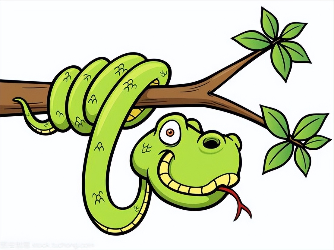 小伙徒手抓竹叶青后续,胆大的小伙用毒蛇咬了会怎么样