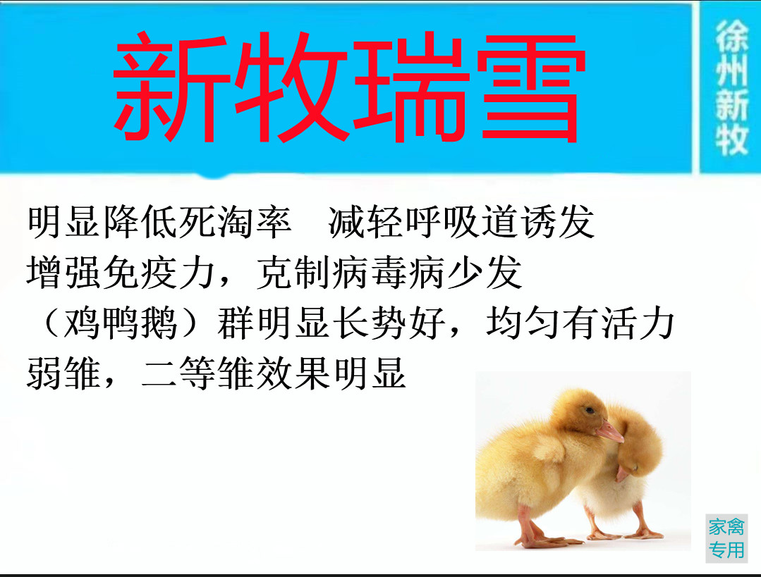 小鸡抽搐站不起来是什么病,鸡抽搐倒地喂什么药