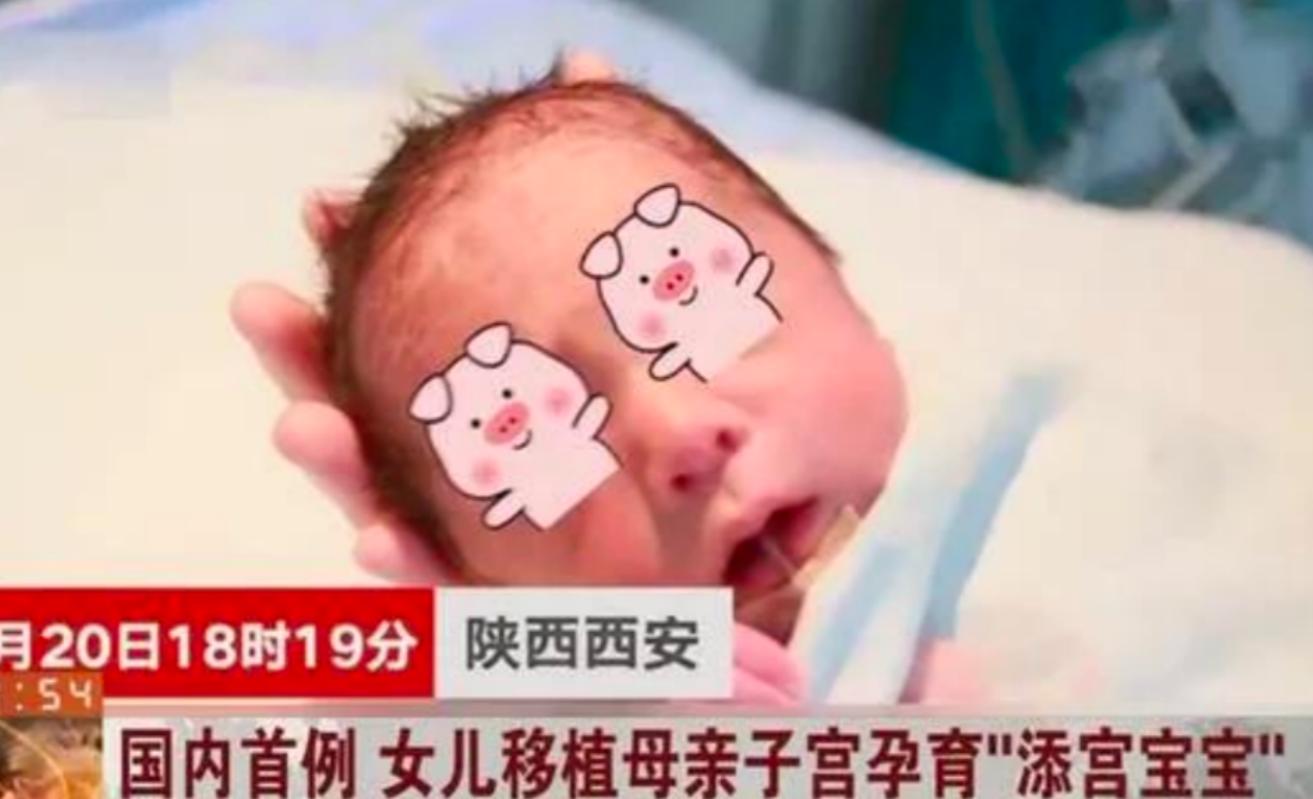 外婆的子宫孕育外孙！2015年，女子移植母亲子宫，4年后生下男婴