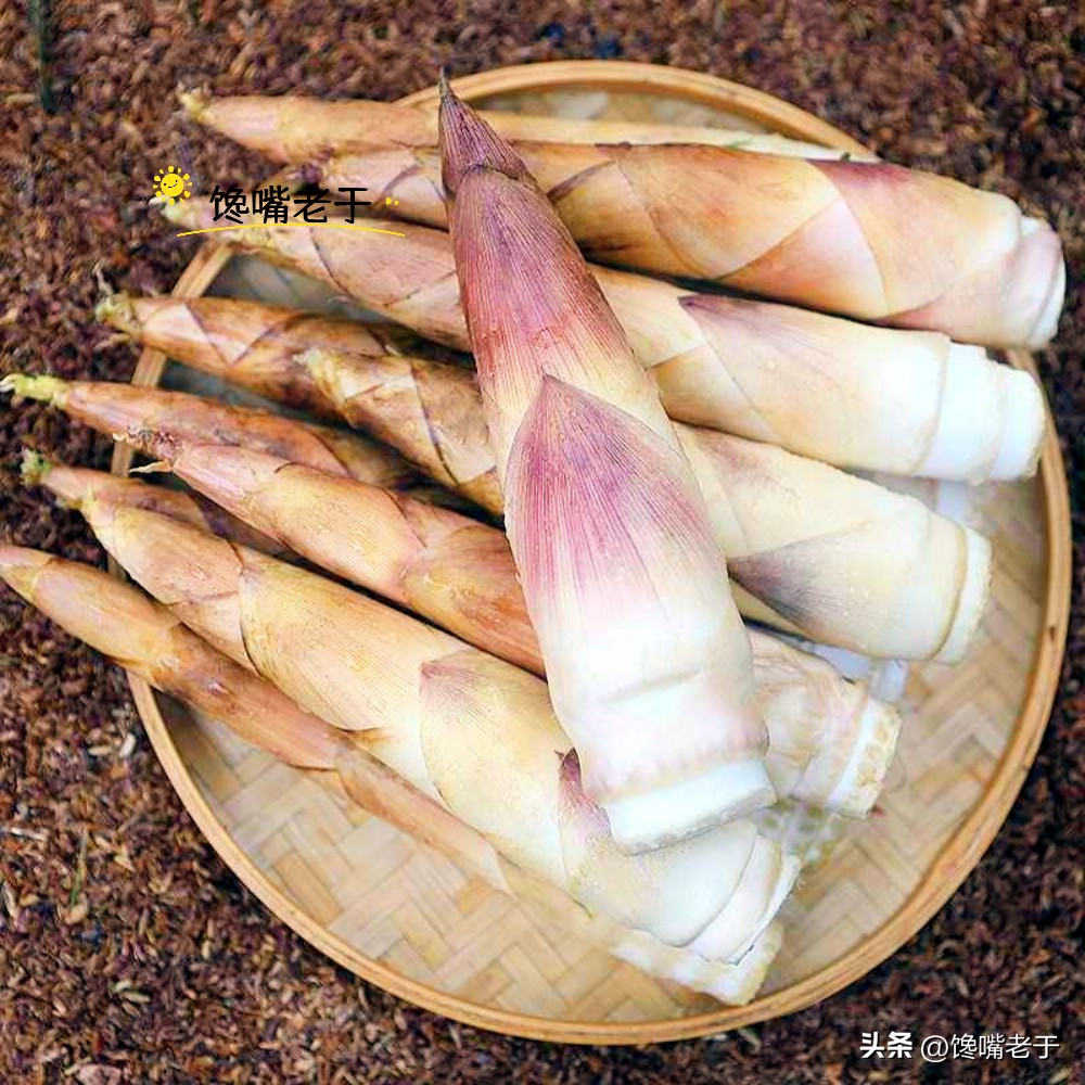 春笋几月份能买到,春笋应该买哪一种