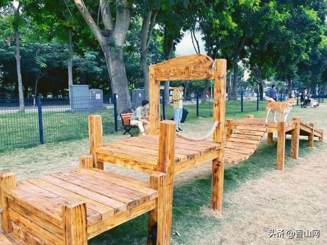 珠海宠物可以去的公园,珠海香山湖公园让遛狗吗