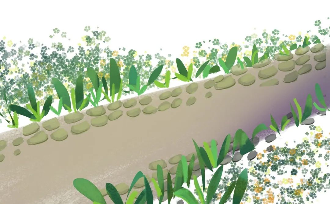 绵竹风景最好的地方在哪 (赏花一日游最佳去处绵竹)