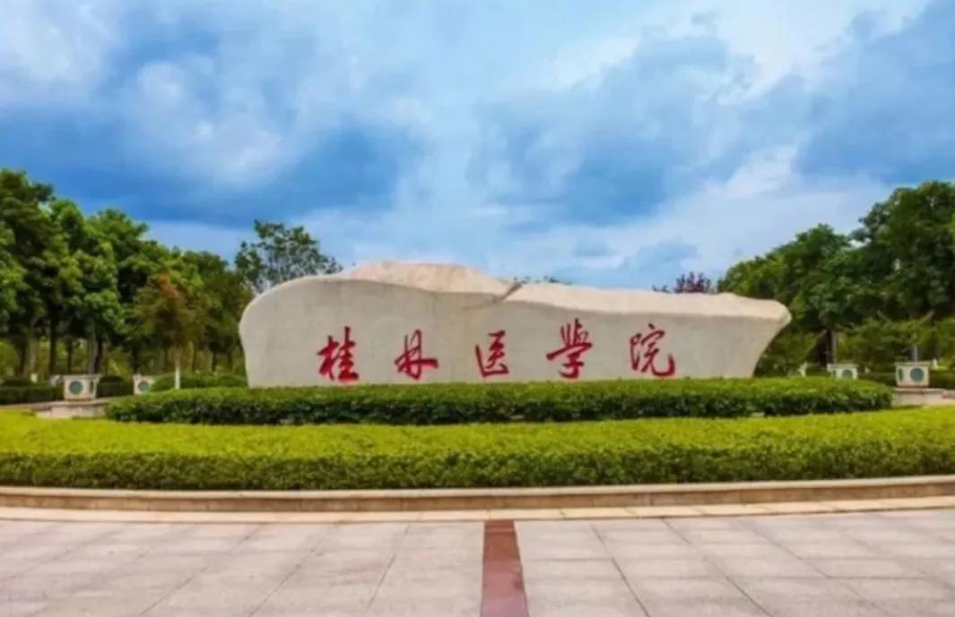 国内的二本中医大学有哪些,国内二本医学院