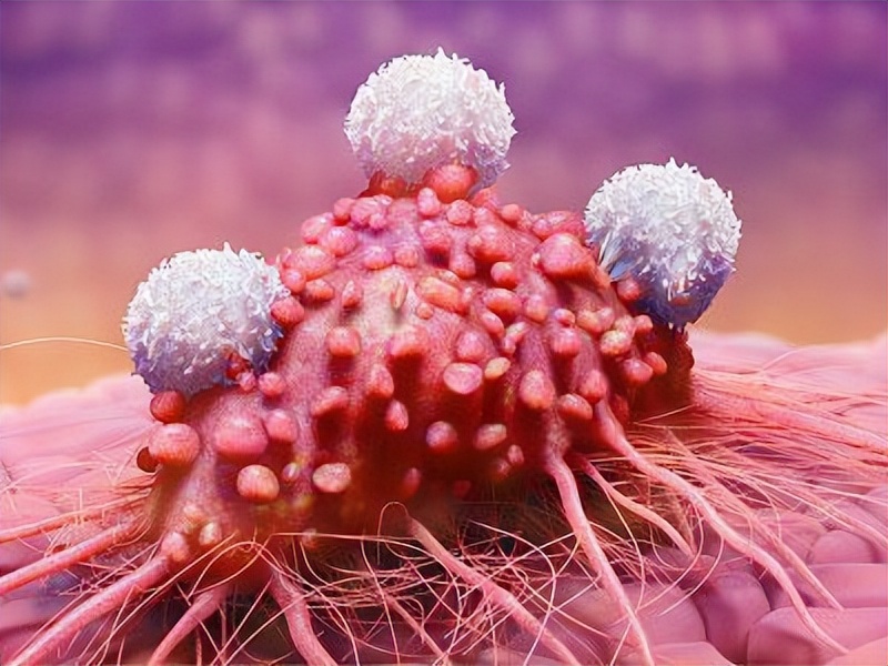 六类疾病可以通过性传播，医生劝告：思想开放的人，别胡作非为！