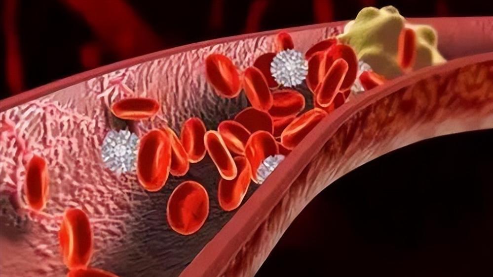 国家对比亚迪的政策,比亚迪可以反制美国吗