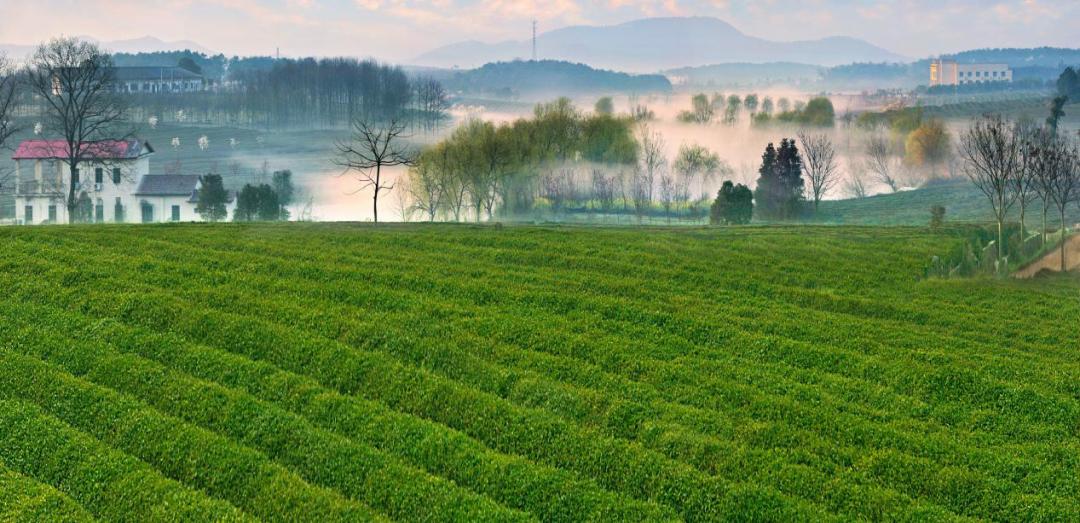 暑期南昌避暑好去处推荐,南昌这边清凉避暑好去处