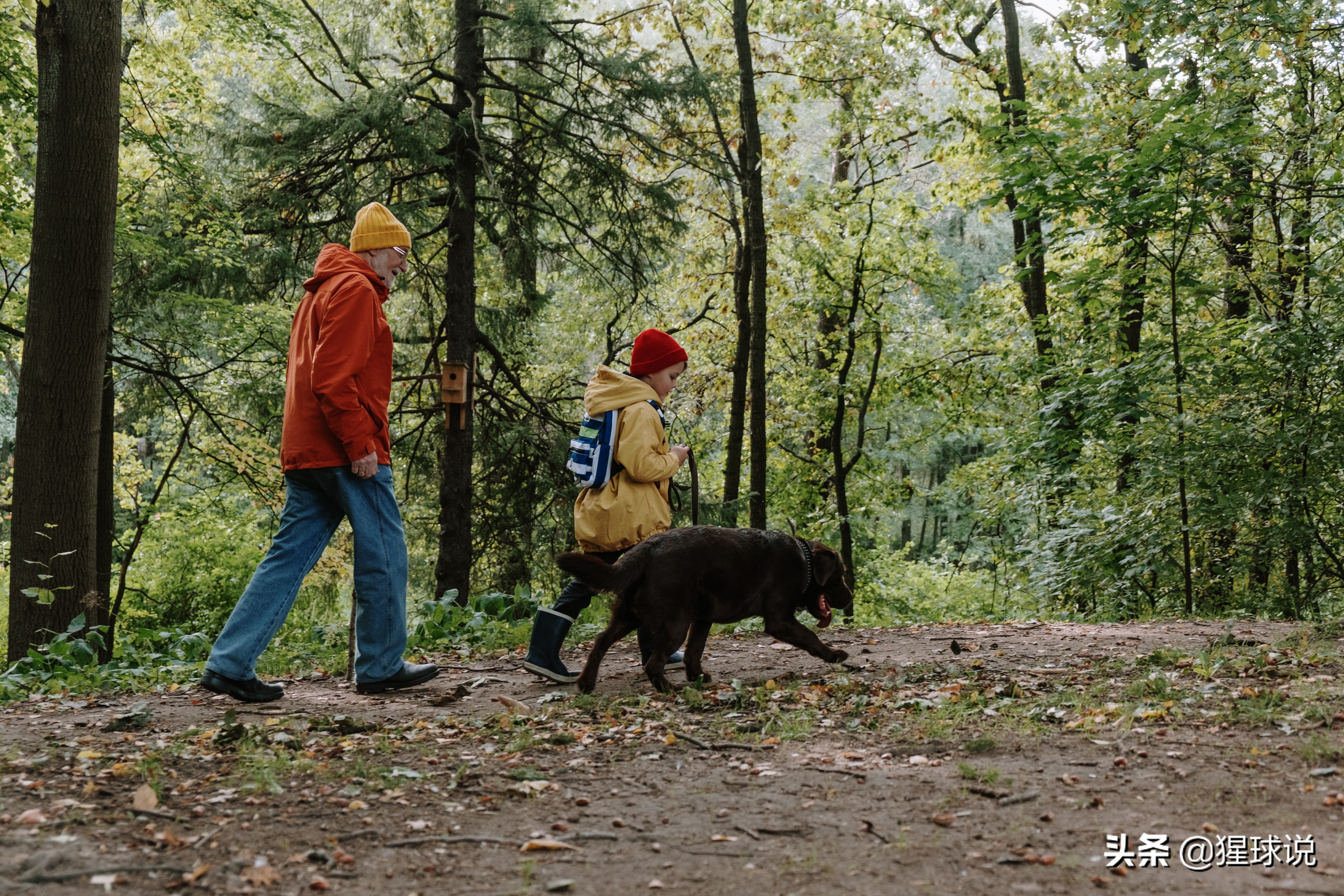 3岁孩子要什么不给就哭,3岁孩子稍不满意就哭闹怎么教育