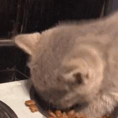 护肤品使用没效果就是这5个原因,为什么有的护肤品别人用没有效果