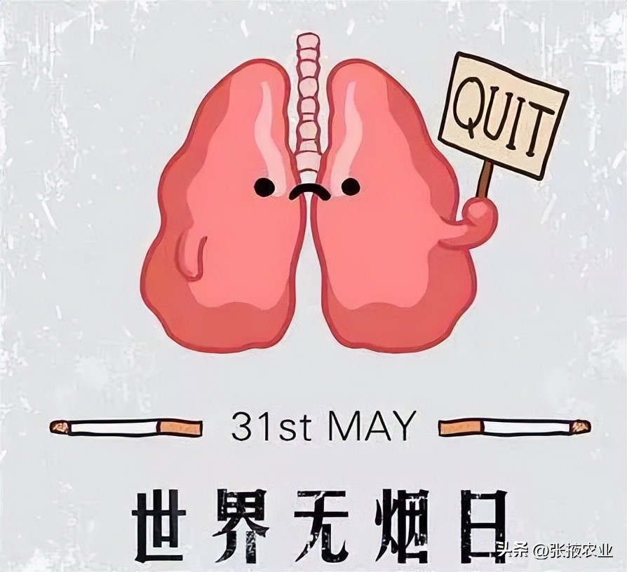 世界无烟日医生科普,善南街道无烟日科普宣传