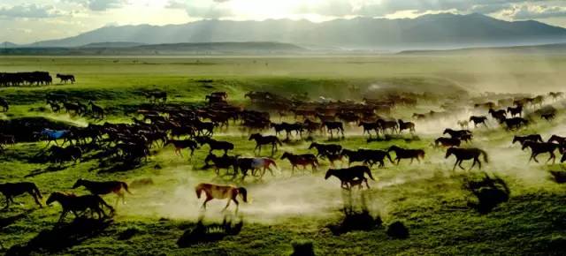 这条惊艳奇绝的公路,行走在天山脊梁上的最美景观公路
