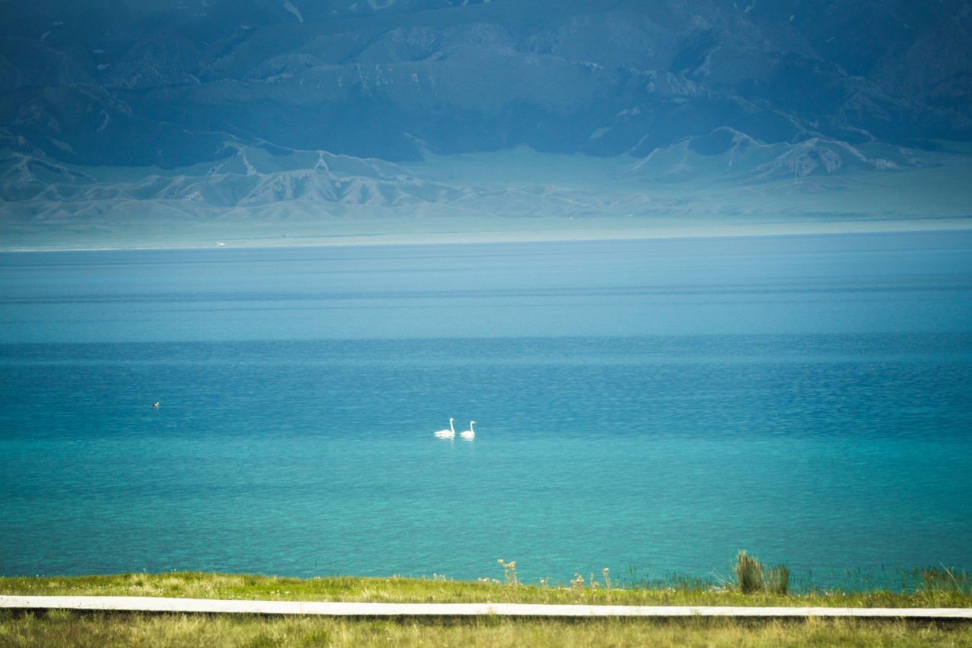 去新疆发现伊犁的美,世界之美尽在伊犁