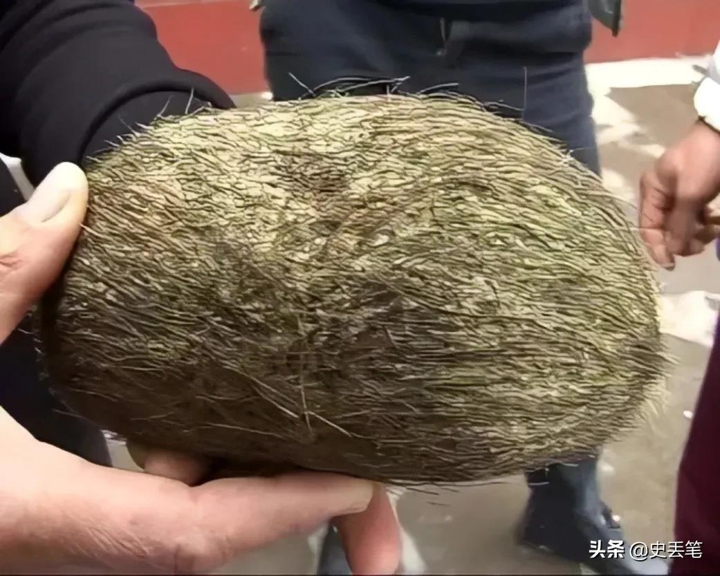 农民杀猪得猪宝专家鉴定值300万,杀猪时意外得猪宝两年后悲剧了