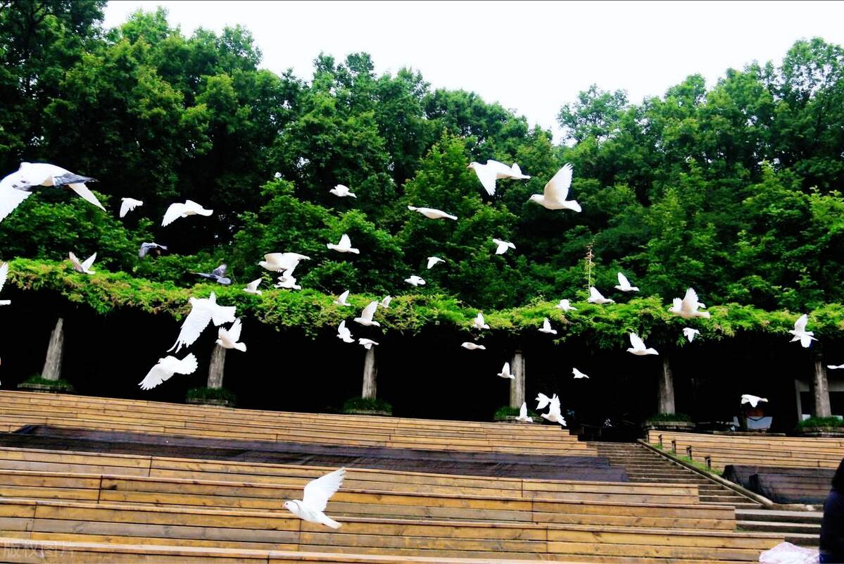 南京带孩子旅游攻略最新,南京亲子游玩攻略一日游价格