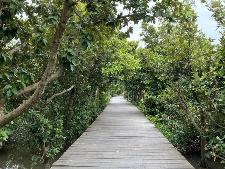 珠海世外桃源旅游区,珠海淇澳岛旅游攻略