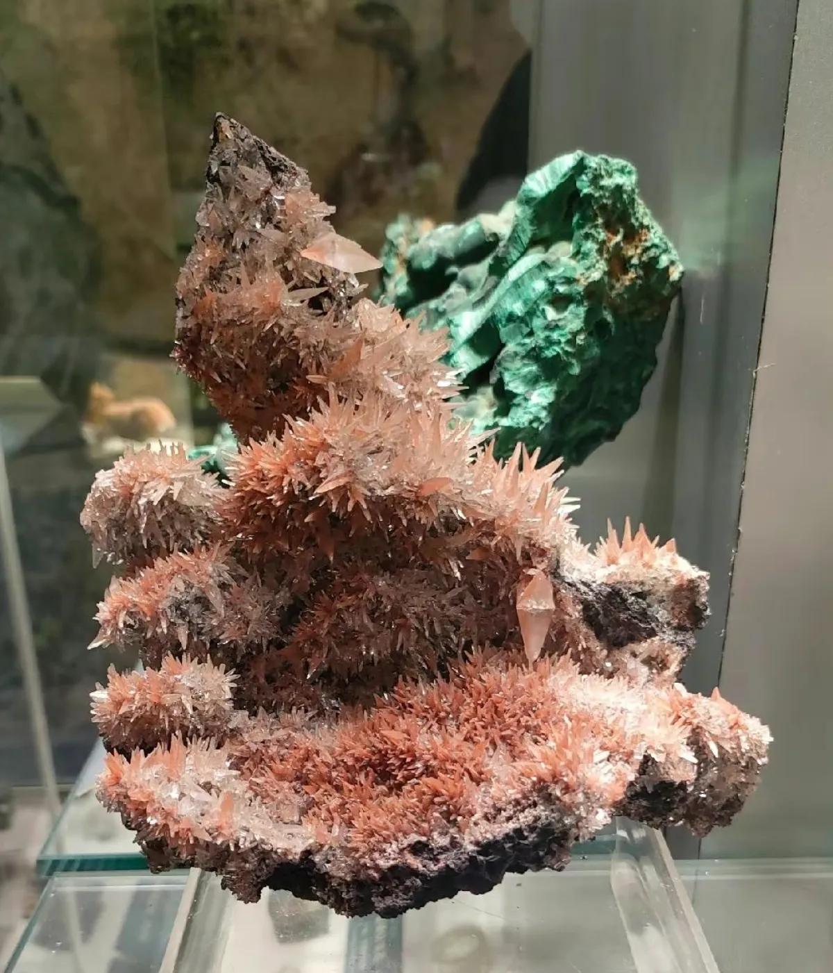 中国地质博物馆藏宝图,国家地质博物馆藏品