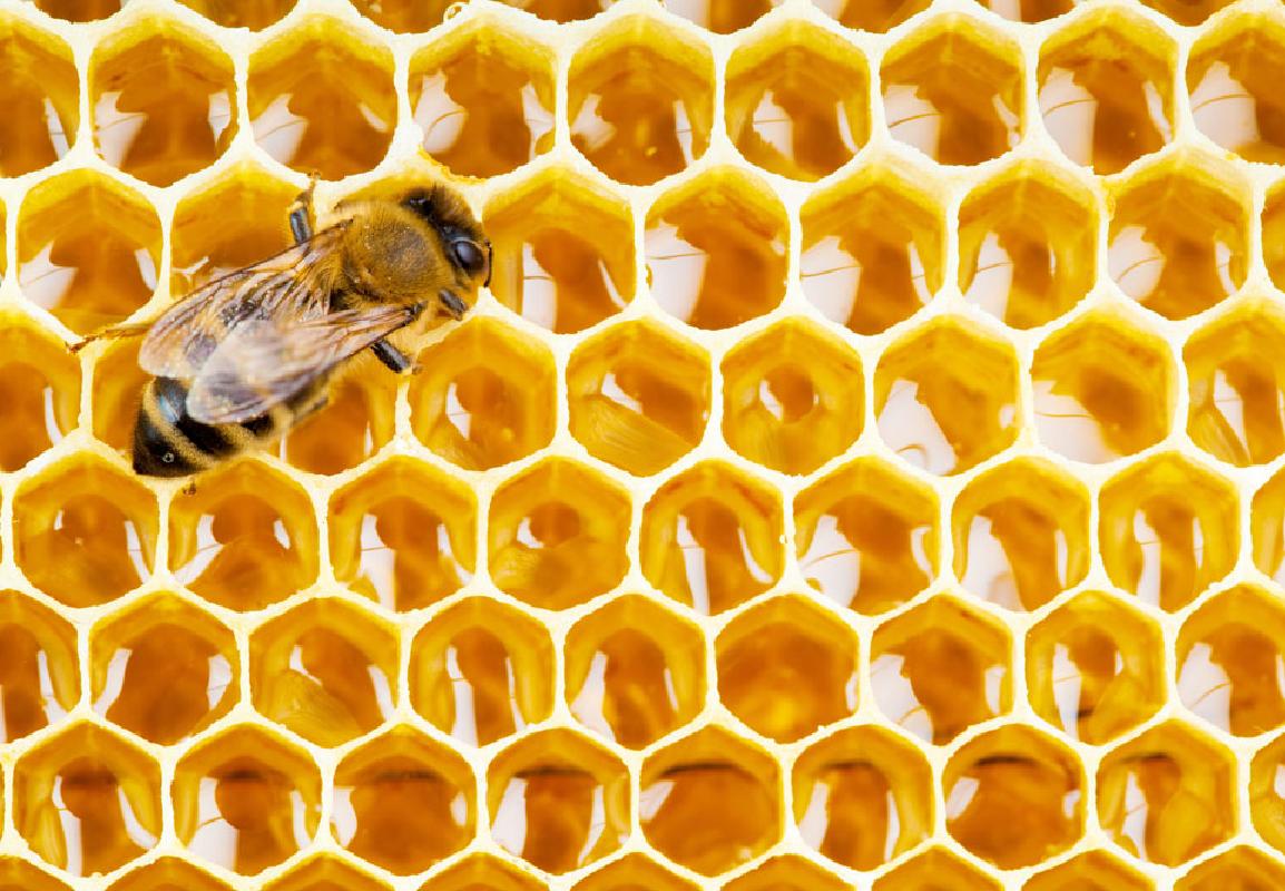 怎么分辨蜂蜜是喂糖水的,喂糖水的蜂蜜是纯蜂蜜吗