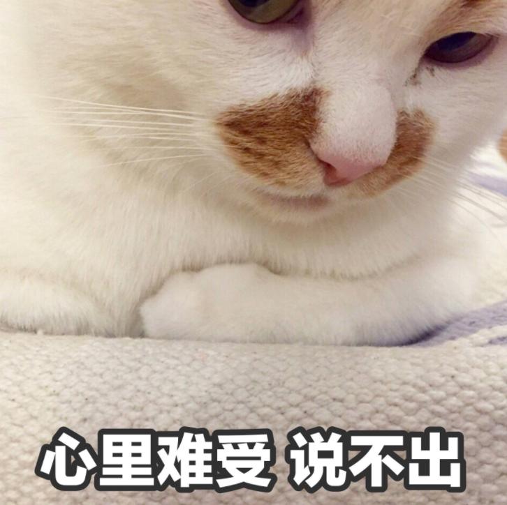 完了，我被NPC强吻了，吻完还非要付我50块钱