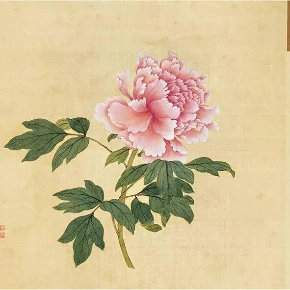 蒋廷锡牡丹画法,蒋廷锡百种牡丹画法