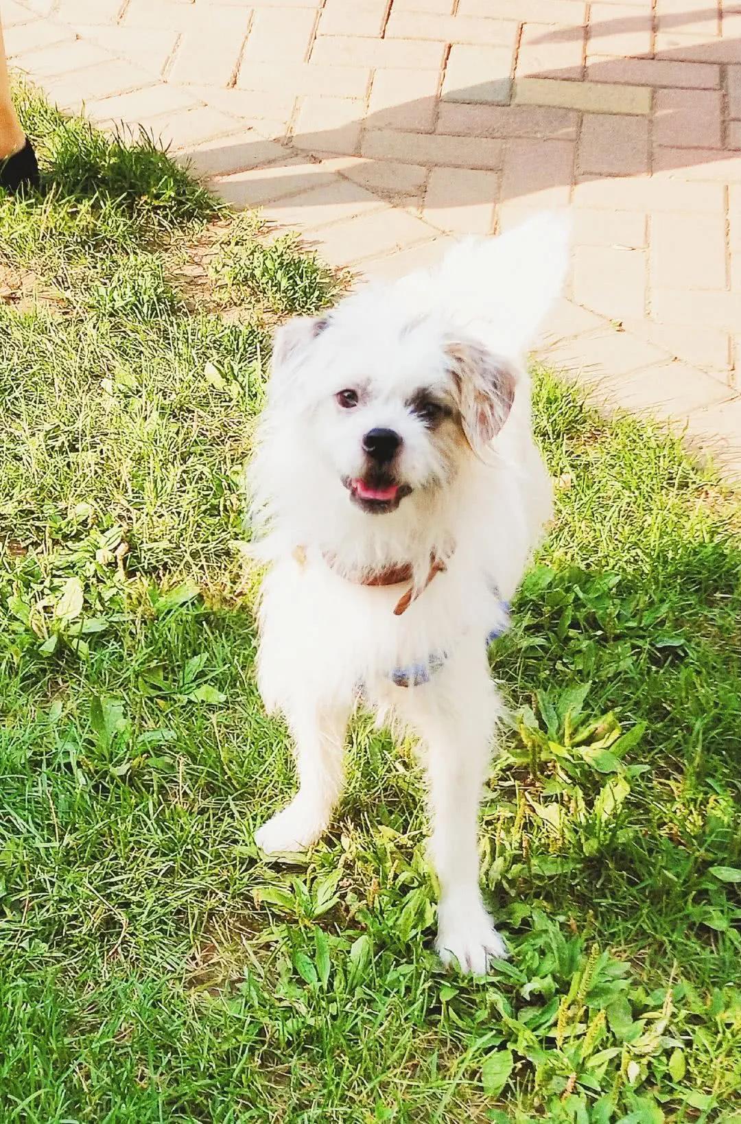 “其靁虺虺、扪心自问、情不自禁”大多数人人容易读错，你试试吧