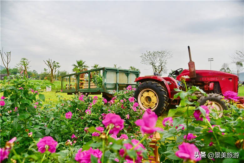 佛山旅游景点攻略,佛山森林公园游玩攻略