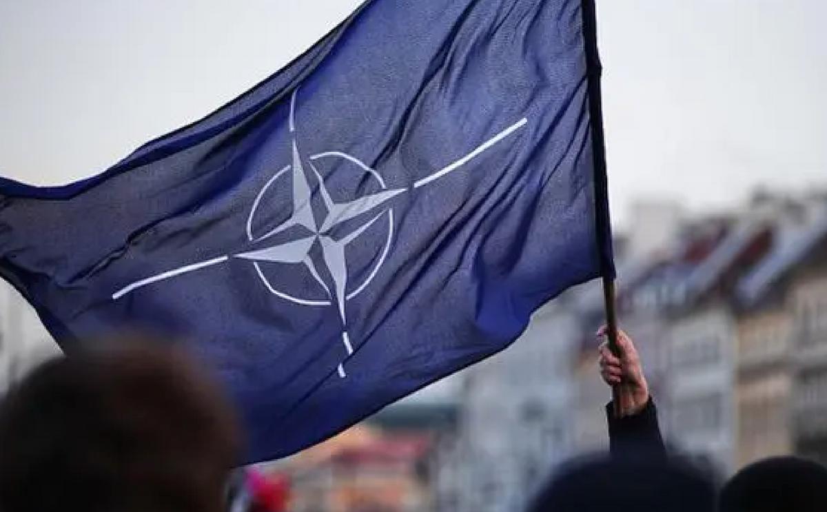 俄罗斯格鲁吉亚战争平民伤亡,俄格战争中的格鲁吉亚