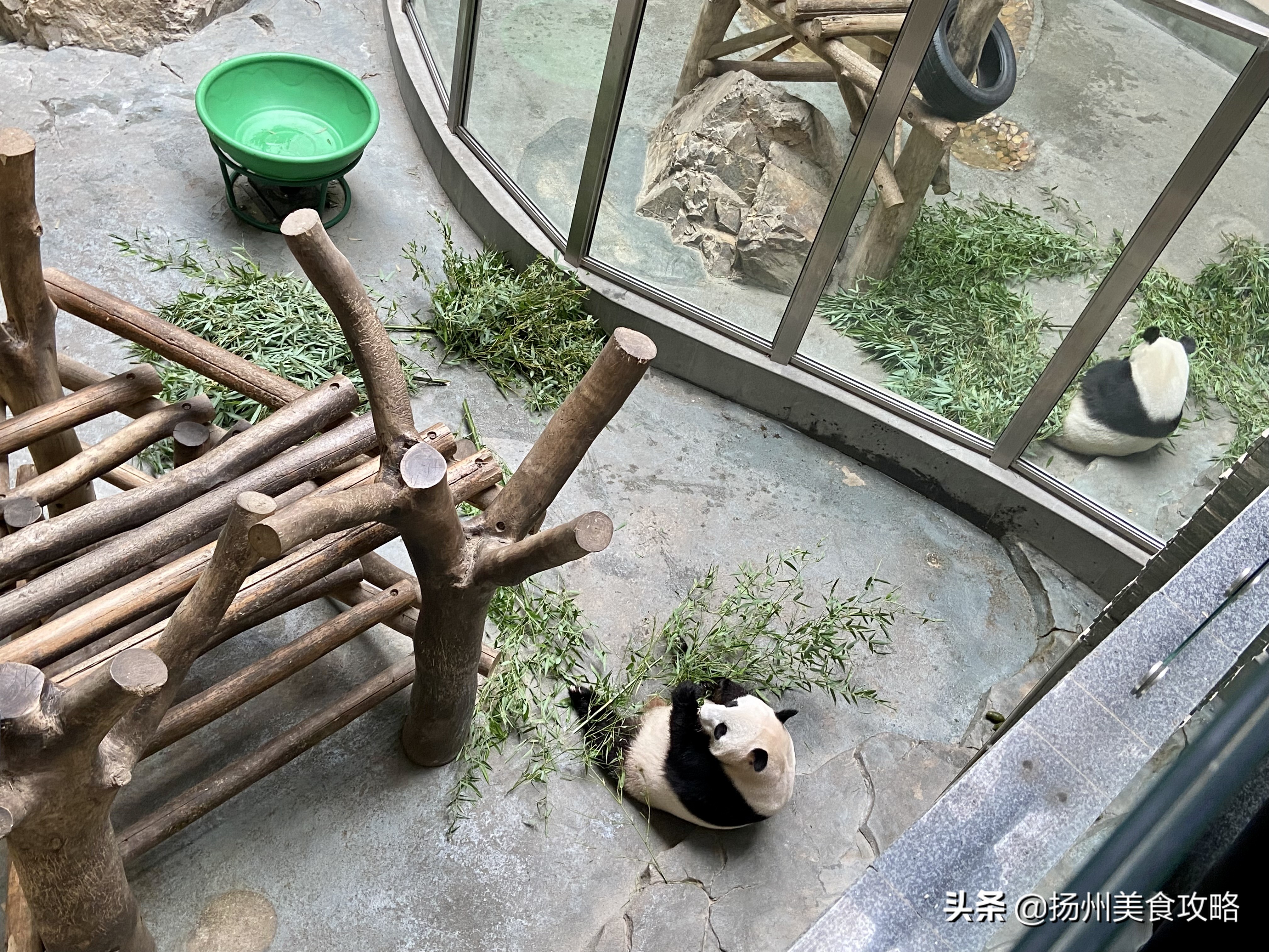 天目湖南山竹海附近游玩,常州天目湖南山竹海免费