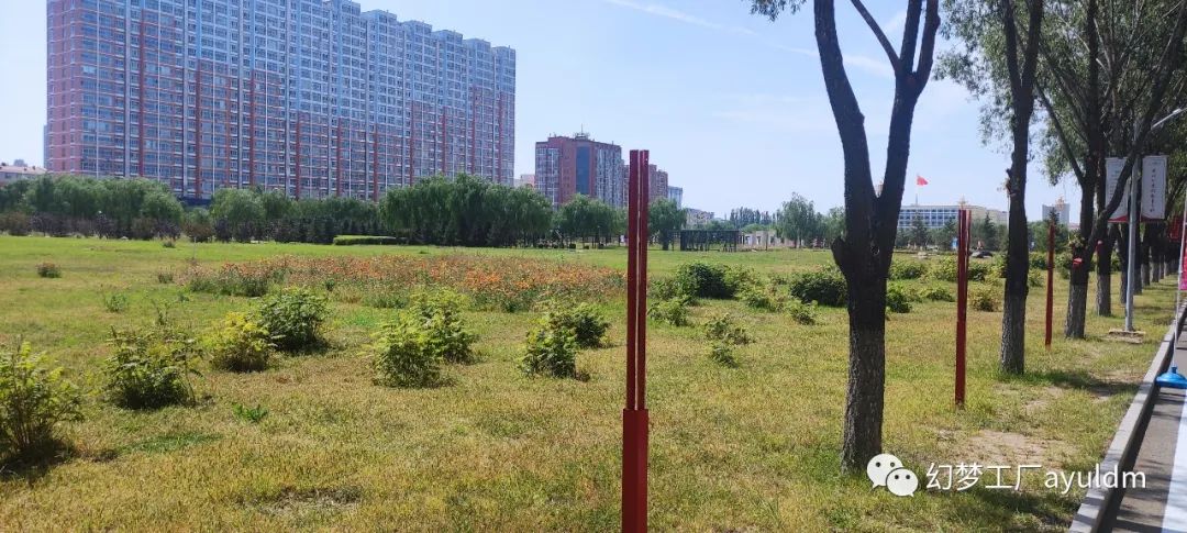 你好母校作文800字,你好母校作文