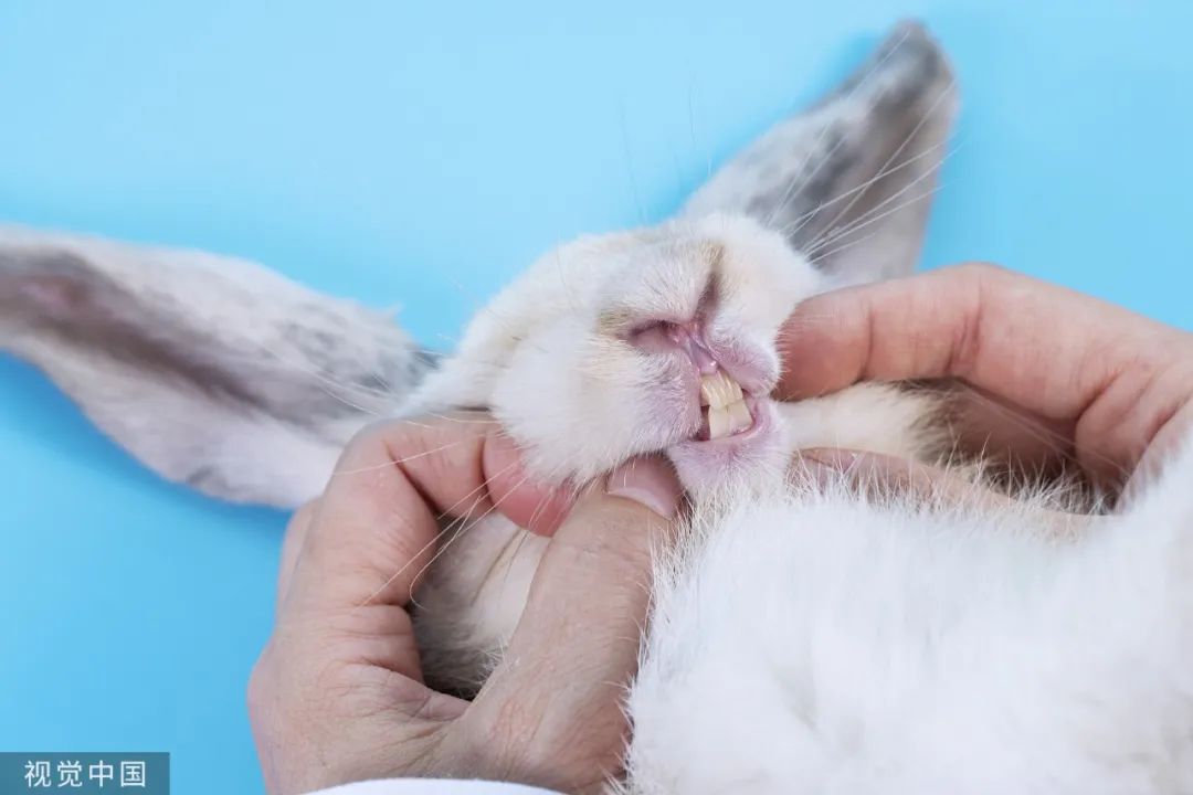 原来你是这样的宋医生在线阅读,原来你是这样的人作文